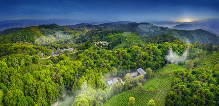 空景8（此图由云茶山庄提供）