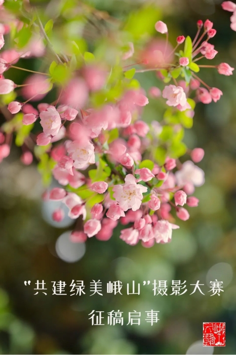 微信图片_20230417105550