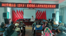 岔河乡2023年残疾人实用技术培训正式开班