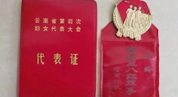 学榜样 践初心 担使命——记全国“三八”红旗手李发英